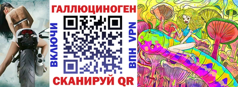 Галлюциногенные грибы GOLDEN TEACHER купить наркоту omg ТОР Котельнич