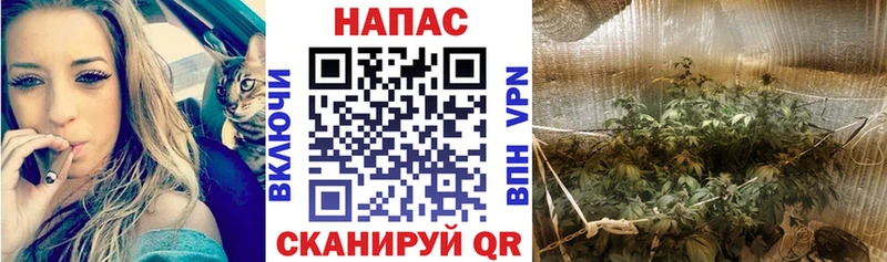 как найти закладки  Котельнич  mega зеркало  МАРИХУАНА гибрид 